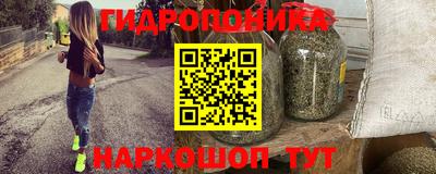 шишки Ирбит