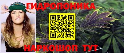 шишки Ирбит