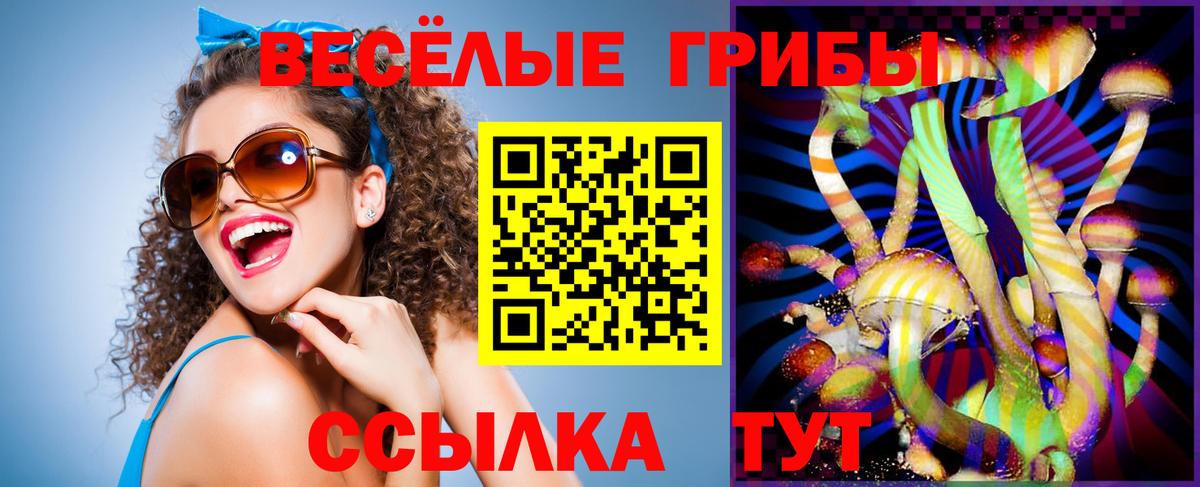 Псилоцибиновые грибы Psilocybine cubensis  Галлюциногенные грибы мицелий  Вход с VPN  Электросталь 